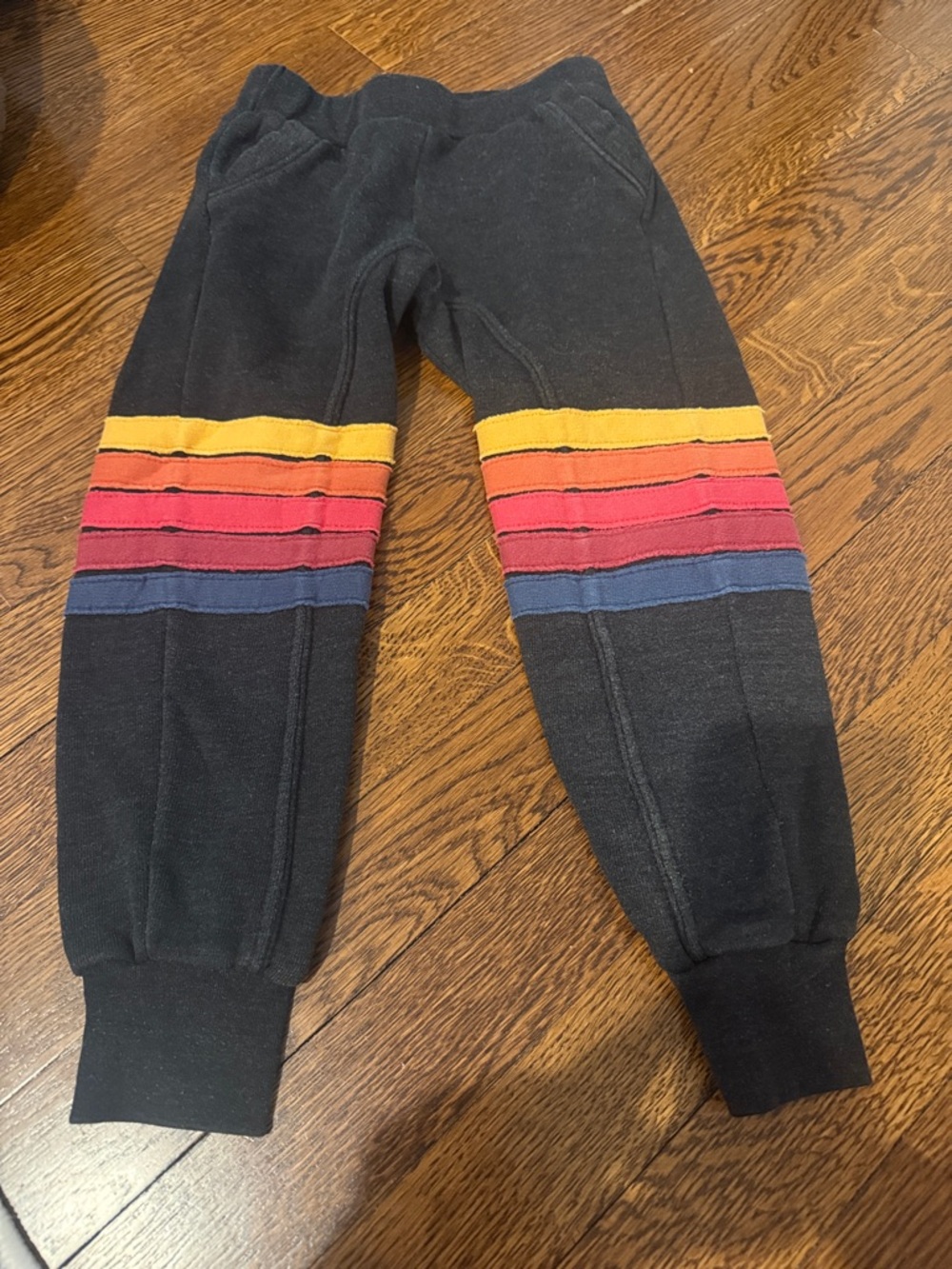 Aviator Nation Sweatpants